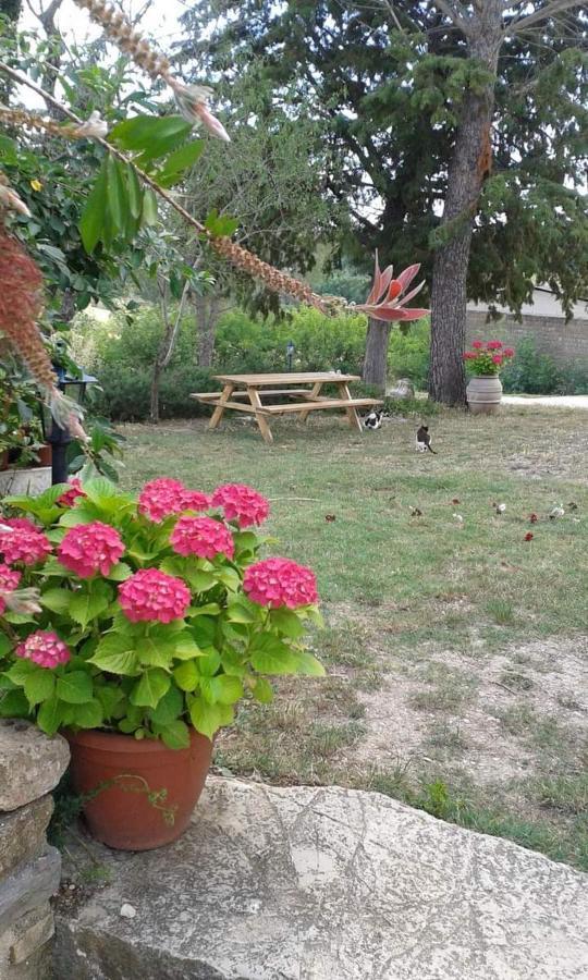 Agriturismo Le Stiacce Saturnia Extérieur photo