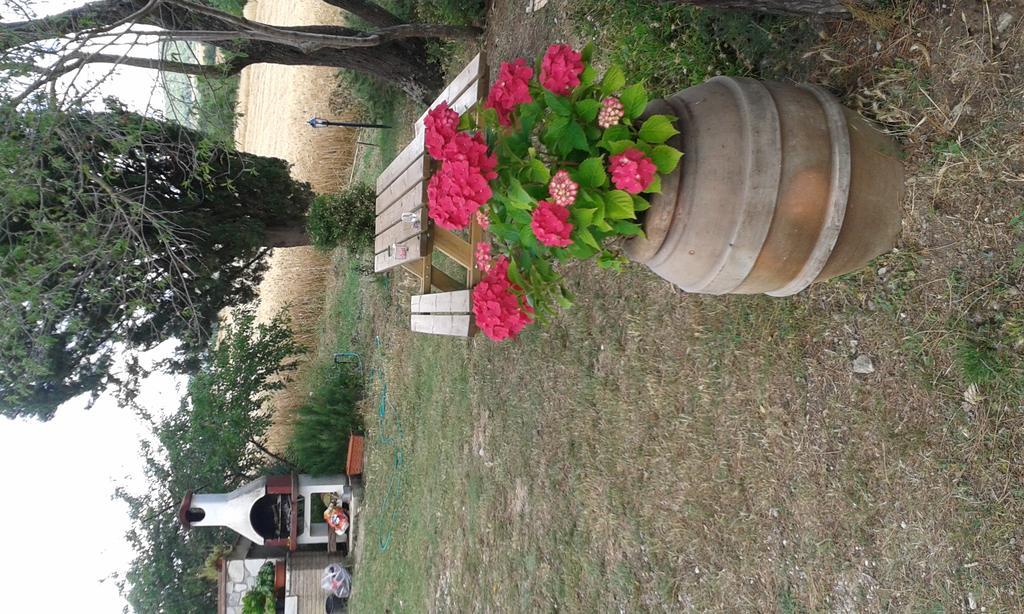 Agriturismo Le Stiacce Saturnia Extérieur photo